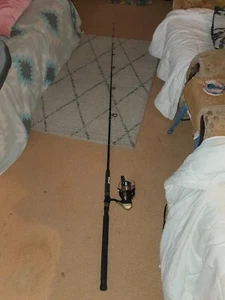 Shimano Fishquest Spinning Hyperloop Combo 7ft 6in 6-8kg - Picture 1 of 5