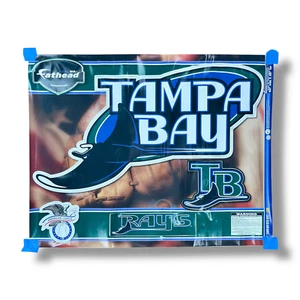 Tampa Bay Devil Rays Baseball Fathead Real Big Wall Decal 28" x 50" Sticker 2007 - Picture 1 of 5