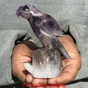 0.3LB Natural Dreamy Amethyst parrot Skull Quartz Crystal Carved XK1424-05-A - Picture 1 of 11