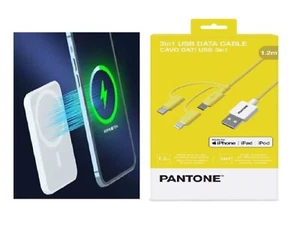 POWER BANK MAGSAFE COMPATIBILE PIU' CAVO RICARICA PANTONE MULTIFUNZIONE 3 IN 1 - Bild 1 von 7