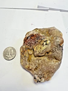 agatized fossil raw lapidary collection display gem 2lb chalcedony - Picture 1 of 13