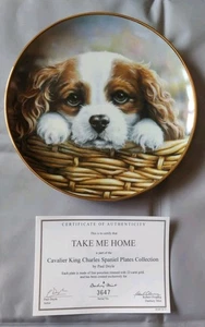 Danbury Mint Plate Cavalier King Charles Spaniel Paul Doyle Take Me Home - Picture 1 of 1