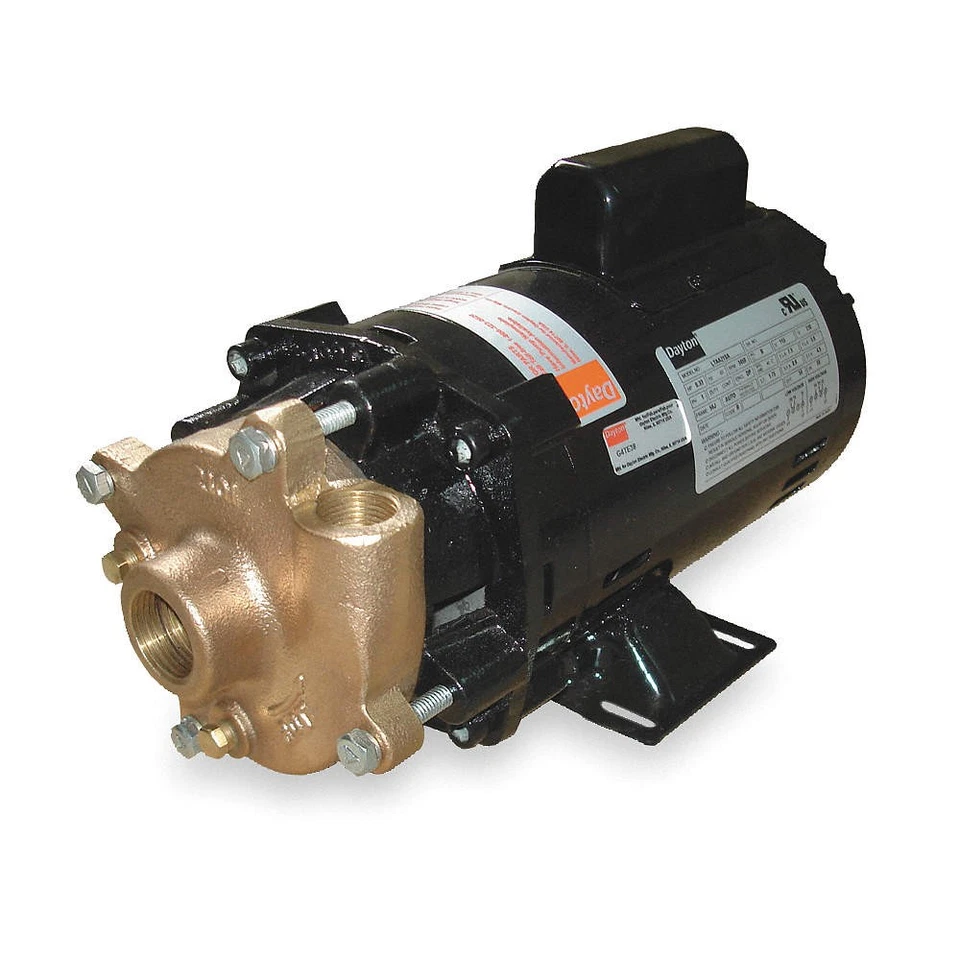 DAYTON 2ZWR9 Pump,1 HP,1 Ph,115/230VAC 2ZWR9 - Image 1 of 1