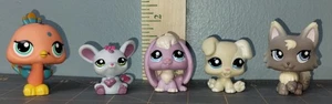 Littlest pet shop lotto di 5 lps gatto, cane, altro - Foto 1 di 21