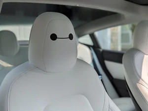 Tesla BayMax Decals for Seats- Set of 6 - Picture 1 of 3
