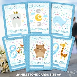 Baby Milestone Cards 1st Year Keepsake Boy Age Son First Shower Favour Birthday - Picture 1 of 9