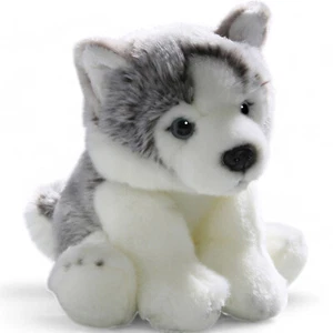 Carl Dick Husky cucciolo circa 22 cm 3134 peluche, peluche, peluche - Foto 1 di 4