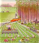 FLORIDA Crops & Farmland, Whimsical Beautiful 1940s Children's Art Print