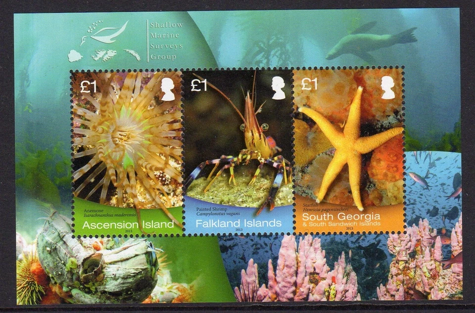 South Georgia 2013 Shallow Marine Survey min. sheet fine fresh MNH - Image 1 of 1
