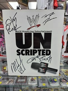 CM Punk Jeff Matt Hardy autografo WWE libro non scritto firmato Tommy Dreamer WWF - Foto 1 di 9