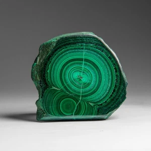 Genuine Polished Malachite Stalactite Slice (120 grams) - Picture 1 of 8