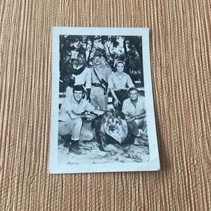 Daktari Television Show Promo Photo 3.5 X 5 Marshall Thompson Clarence The Lion - Picture 1 of 2