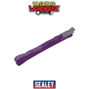 Sealey LS1003 Load Sling 3m 1 Tonne Capacity - Picture 1 of 5