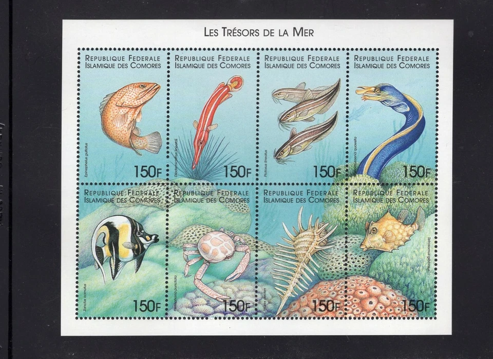 Comoro 1999 Marine Life Eel Fish Crab Coral Seashell  Mini Sheet MNH Sc 886 - Image 1 of 1