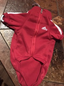 adidog ebay