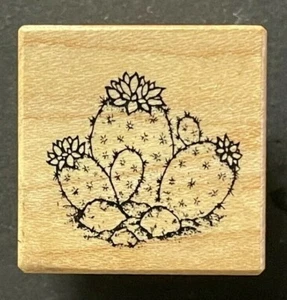 Cactus Succulent Southwestern Desert Spike Thorny Plant Flower Wood Rubber Stamp - Picture 1 of 3