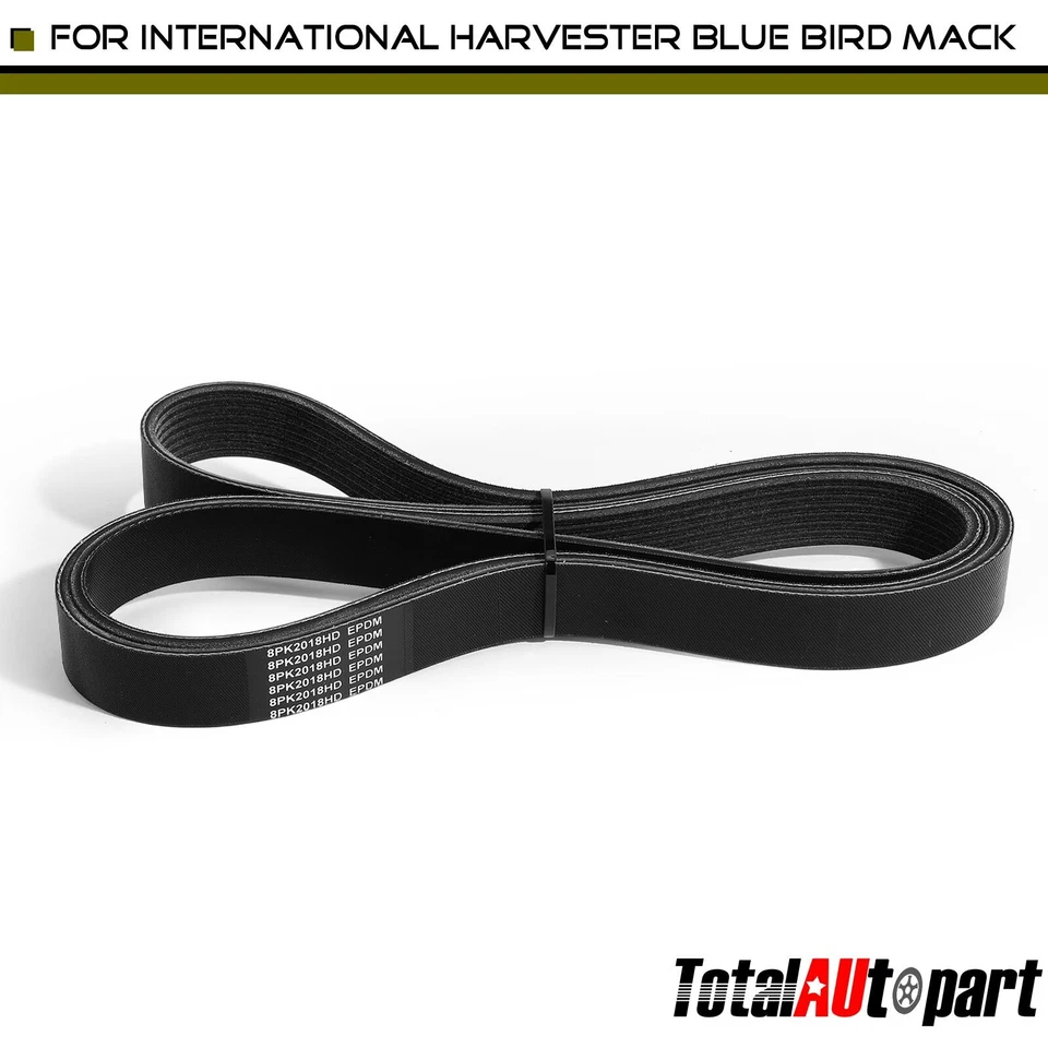Cinturón Serpentine 79,45 pulgadas para International Harvester 7600 5500i Blue Bird Mack Foto 1 de 4