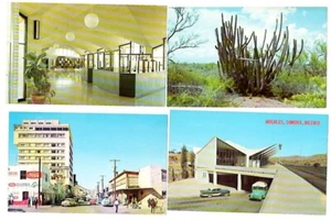 NOGALES, SONORA, MEXIKO ~ Menge Vintage Postkarten ~ KOSTENLOSER VERSAND - Bild 1 von 2