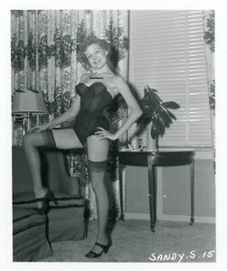 Vintage Risque Pinup Photo Sandra S 15 Irving Klaw 4X5 - Picture 1 of 1
