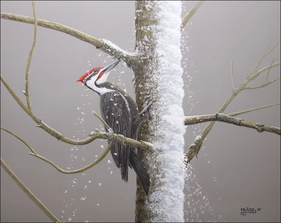 FRASE ORIGINAL PAINTING PILEATED WOODPECKER WILDLIFE BIRD ART DUCK STAMP ARTIST - Image 1 of 1