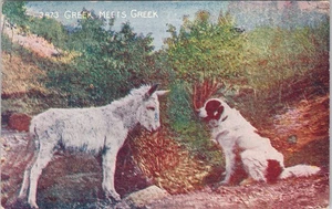 Tarjeta postal de humor "Greek Meets Greek" Burro Dog - Imagen 1 de 2