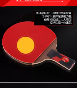 Advance Nice Deal PENHOLD Short Handle Ping Pong Racket Table Tennis Paddle CS - Picture 1 of 12