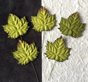 10 Maple Leaves Handmade mulberry paper Floral leaf Autumn Card fall invitation  - Picture 1 of 3