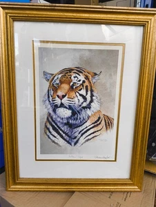 STEPHEN GAYFORD GOLD FRAMED INDIAN TIGER PRINT ARTIST SIGNED PRINT - Picture 1 of 6