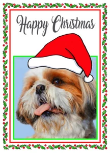 SHIH TZU DOG SANTA HAT QUALITY GLOSSY CHRISTMAS CARD 8"x 6" FREE POST - Picture 1 of 2
