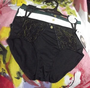 3 NEW DAISY FUENTES DF4830 1 LACE & MICRO SPARKLE & SHINE BRIEF PANTIES M - Picture 1 of 3