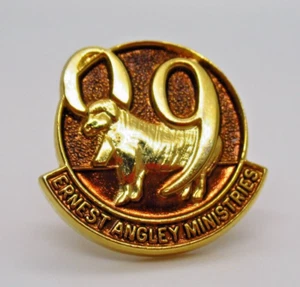 Prendedor de solapa Ernest Angley Ministries 99 insignia religiosa cordero cristiano de Dios - Imagen 1 de 6