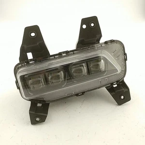 Light For Telluride 92201S9010 Like New OEM Assy Left - Picture 1 of 4