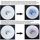 (Sakura B)Temperature Color Changing Cup Flower Display Tea Bowl Ceramic SG