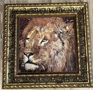 Lion Framed Art 17.5x17.5” Wildlife Wall Home Decor - Picture 1 of 4