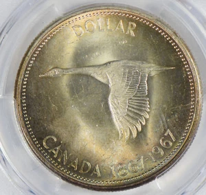 Canada 1967 Dollar silver PCGS MS64 stunning blue golden toning PC0306 combine s - Picture 1 of 4