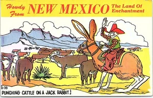 Postcard KNM Howdy From New Mexico Punching Cattle On A Jack Rabbit AB17 - Picture 1 of 2