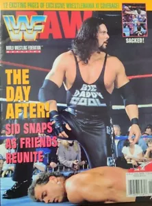 WWF Magazine June 1995 Shawn Michaels Diesel*HAS Poster,Cutout & Trading Cards*B - Picture 1 of 17