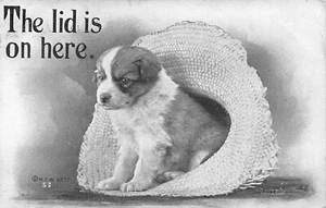 DE COLECCIÓN CACHORRO PERRO EN SOMBRERO DE PAJA LA TAPA ESTÁ AQUÍ SALUDOS POSTAL 1910 101322 - Imagen 1 de 2