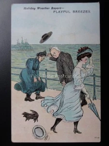 Comic Postcard c1908 Holiday Weather Report - PLAYFUL BREEZE Pub by D.F.& Co. - Picture 1 of 2