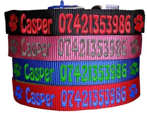 Personalised Name & Phone Number ID Collar for Dogs and Cats - Picture 1 of 13