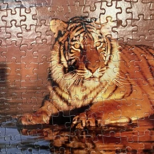 Rompecabezas Tiger sentado bonito 551 piezas publicación americana completo R Kimball - Imagen 1 de 12