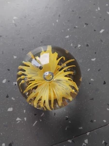 Vintage Lovely Yellow Flower Paperweight With Small Green Frog - Bild 1 von 3