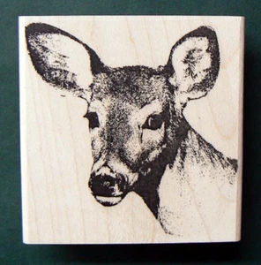 Deer, wildlife Rubber stamp 2.5x2.5" WM NEW  P9 - Picture 1 of 1