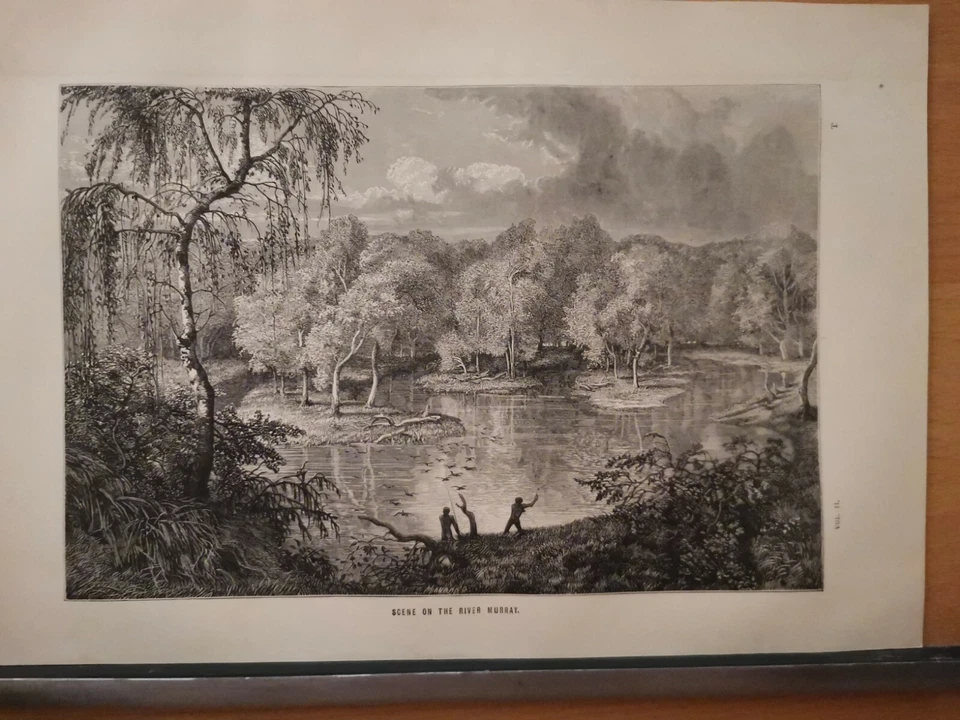 1862 Original Illustration Gravur Kupferstich Lithographie Vintage Retro  Murray - Bild 1 von 4