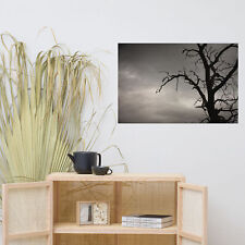 Spooky Tree silhouette against a stormy sky wall art on quality matte paper
