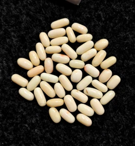 New Arrival / 100% Natural Japanese Coral Gemstone-White Coral Oval Lot - Picture 1 of 5