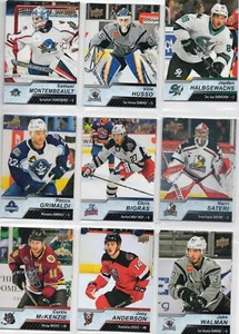 9 complete AHL sets 2007-2021 with binder, includes 1free #'d, Rookies/All-Stars - Imagen 1 de 11