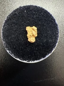 PURE GOLD CABORCA MEXICO HAND PICKED RAW - .36 Grams “the Puppy Face” - Picture 1 of 11