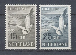 NEDERLAND 1951 - 15 + 25 gulden ZEEMEEUW - LUCHTPOSTZEGELS ONGEBRUIKT Hk176 - Foto 1 di 2