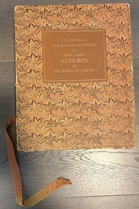 Das Original Aquarell Gemälde von John James Audubon für Die Vögel Amerikas - Bild 1 von 10